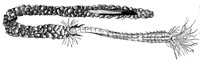 AAQ50065.JPG