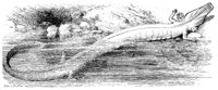AAQ50062.JPG
