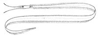 AAQ50059.JPG