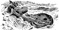 AAQ50058.JPG