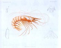 AAQ50007.JPG