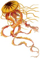 AAO50053.JPG