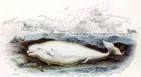 AAO50044.JPG