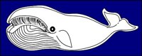 AAO00003.WMF