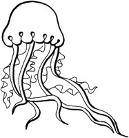 AAN50001.TIF