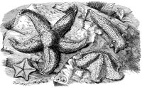 AAM50026.JPG
