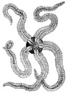 AAM50022.JPG