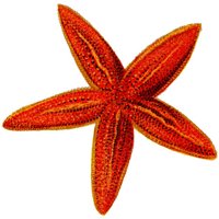 AAM50021.JPG