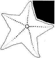 AAM50016.TIF