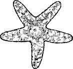 AAM00001.WMF