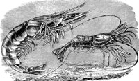 AAL50111.JPG