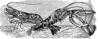 AAL50110.JPG
