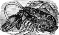 AAL50109.JPG