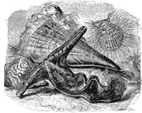 AAL50094.JPG