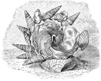 AAL50087.JPG