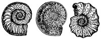 AAL50074.JPG
