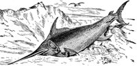 AAK50069.JPG