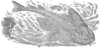 AAK50067.JPG
