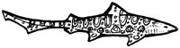 AAK50038.TIF