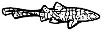 AAK50034.TIF