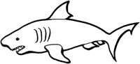 AAK50011.TIF