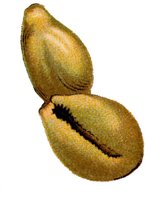 AAJ50155.JPG