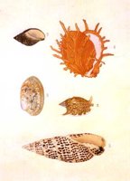 AAJ50150.JPG