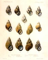 AAJ50147.JPG