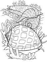 AAJ50085.TIF