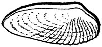 AAJ50072.TIF