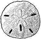 AAJ50002.TIF