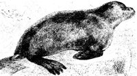 AAI50078.JPG