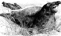 AAI50077.JPG