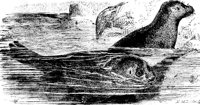 AAI50076.JPG