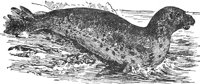 AAI50071.JPG