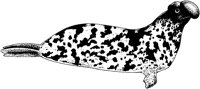 AAI50029.TIF