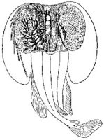 AAF50024.JPG