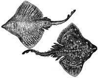 AAF50023.JPG