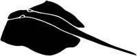 AAF50021.TIF
