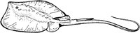 AAF50019.TIF