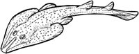 AAF50014.TIF