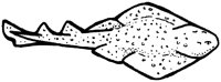 AAF50012.TIF
