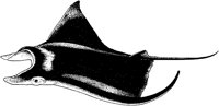AAF50011.TIF
