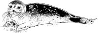 AAE50001.TIF