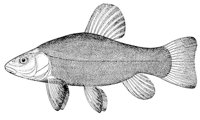 AAD50569.JPG