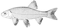 AAD50568.JPG
