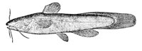 AAD50567.JPG