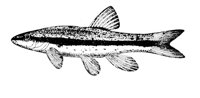 AAD50566.JPG