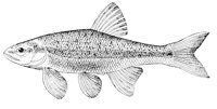 AAD50565.JPG