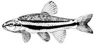 AAD50564.JPG